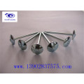 Umbrella head roofing nails manufacturer